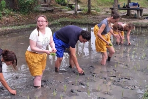 Bali: Making Canang, Sanskrit Lesson & Farming Village Tour