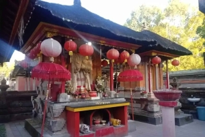 Bali: Manik Muncar-tempel en Belandingan-dorpstour