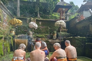 Bali: cerimonia Melukat con sacerdote e danza culturale