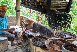 Bali: Melukat-ritual, lunch i byn och vattenfall – öppen resa