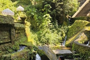 Bali : visite du temple Mengening et d'une plantation avec massage