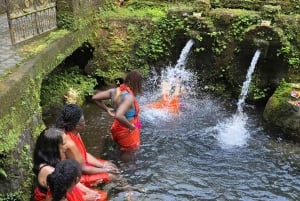 Bali : visite du temple Mengening et d'une plantation avec massage