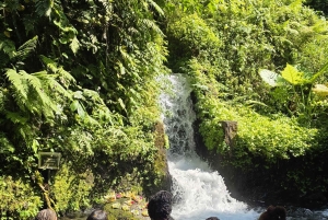 Bali : visite du temple Mengening et d'une plantation avec massage