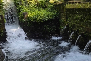 Bali : visite du temple Mengening et d'une plantation avec massage