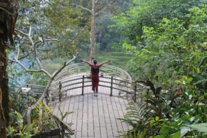 Bali: Mengwi Taman Ayun Site and Sangeh Monkey Forest Tour