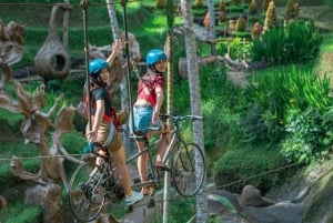 Bali: Monkey Forest, Alas Harum & Cretya Ubud Tour