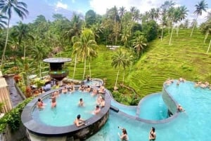 Bali: Monkey Forest, Alas Harum & Cretya Ubud Tour