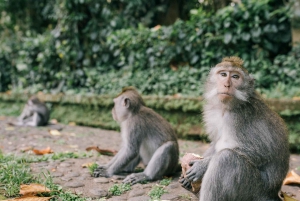 Ubud: Private Tour of Temples, Waterfalls & Rice Terraces