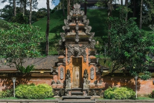 Ubud: Private Tour of Temples, Waterfalls & Rice Terraces