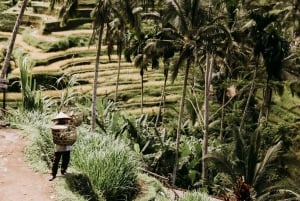 Ubud: Private Tour of Temples, Waterfalls & Rice Terraces