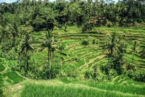 Ubud: Private Tour of Temples, Waterfalls & Rice Terraces