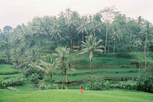 Ubud: Private Tour of Temples, Waterfalls & Rice Terraces