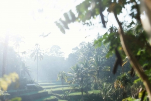Ubud: Private Tour of Temples, Waterfalls & Rice Terraces