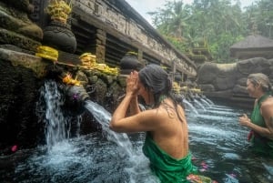 Ubud: Private Tour of Temples, Waterfalls & Rice Terraces