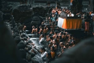 Ubud: Private Tour of Temples, Waterfalls & Rice Terraces