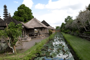 Bali : forêt des singes, Taman Ayun, temple de Tanah Lot