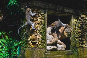 Bali : forêt des singes, Taman Ayun, temple de Tanah Lot