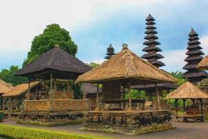 Bali : forêt des singes, Taman Ayun, temple de Tanah Lot