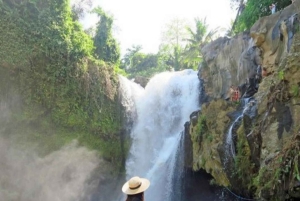 バリ島：モンキーリバー、トゥグヌンガンの滝、マス村ツアー