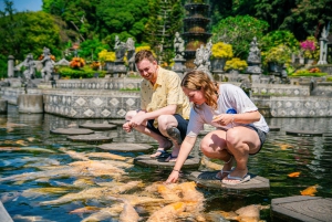 Bali: Det mest ikoniske sted Privat tur (All Inclusive)