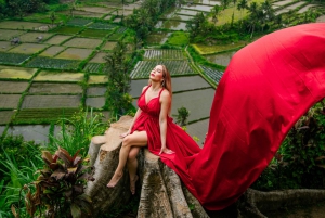 Bali: Det mest ikoniske sted Privat tur (All Inclusive)