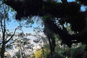 Bali: Mount Abang Guided Hike with Hotel Pickup