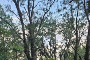 Bali: Mount Abang Guided Hike with Hotel Pickup