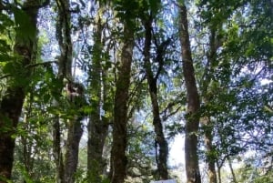 Bali: Mount Adeng Guided Hike with Temple Visit