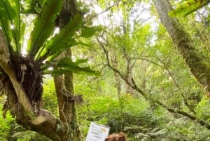 Bali: Mount Adeng Guided Hike with Temple Visit