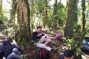 Bali: Mount Adeng Guided Hike with Temple Visit