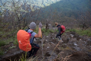 Bali: Mount Agung Summit Trek 3142 M via Edelweiss Trail