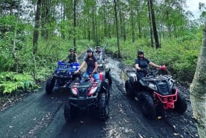 Bali: Mount Batur ATV Quad Bike Adventure with Guide
