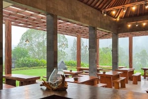 Bali/Monte Batur: safari en VW clásico y fuente termal