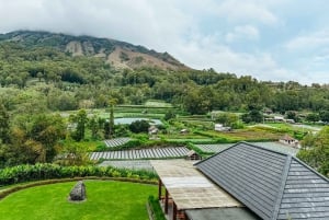 Bali/Monte Batur: safari en VW clásico y fuente termal