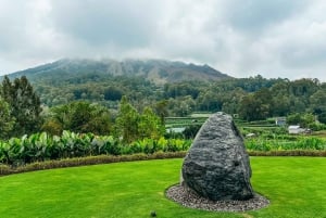 Bali/Monte Batur: safari en VW clásico y fuente termal