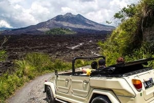 Bali/Mount Batur: Classic VW Volcano Safari & Hot Spring