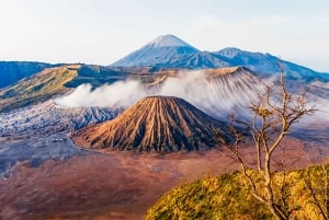 Bali/Mount Batur: Classic VW Volcano Safari & Hot Spring