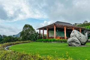 Bali/Mount Batur: Classic VW Volcano Safari & Hot Spring