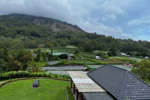 Bali: Mount Batur Entry Ticket on a Guided Hike or Jeep Ride