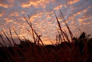 Bali: Mount Batur Entry Ticket on a Guided Hike or Jeep Ride
