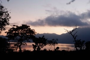 Bali: Mount Batur Entry Ticket on a Guided Hike or Jeep Ride