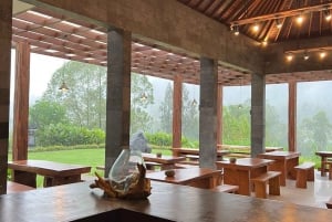 Bali: Mount Batur Entry Ticket on a Guided Hike or Jeep Ride