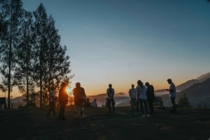 Bali: Mount Batur Guided Motorcycle Tour & Hot Springs