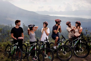 Bali: Mount Batur Mountain Biking Adventure with Lunch