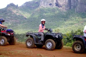 Bali: Mount Batur Quad Bike Tour and Natural Hot Springs