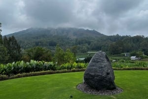 Bali: Mount Batur Quad Bike Tour and Natural Hot Springs