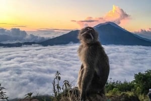 Bali: Wycieczka o wschodzie słońca na górę Batur ze śniadaniem - All Inclusive