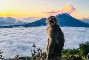 Bali: Excursión al Amanecer del Monte Batur con Desayuno y Aguas Termales
