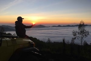Bali: Batur-vuoren auringonnousun jeeppiseikkailu viidakkokeinun kanssa