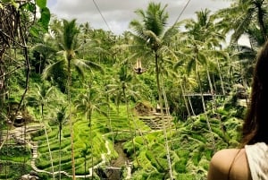 Bali: Mount Batur Zonsopgang Jeep Tour met Jungle Swing